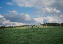 Glamping Na Malém Háji