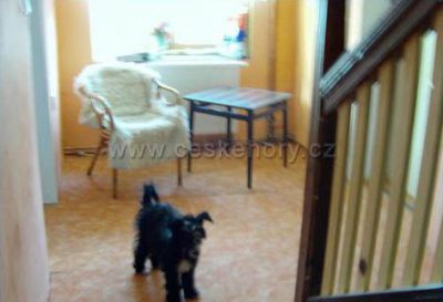 Pension Restaurant Nika