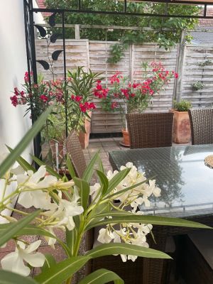 Pension Lena - Haus für Familienerholung