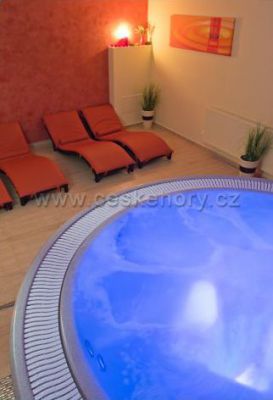 Wellness Pension 7