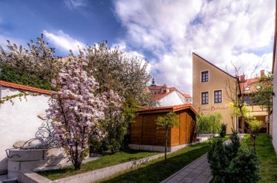 Pension Baltazar Mikulov