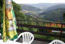 Pension Alpin