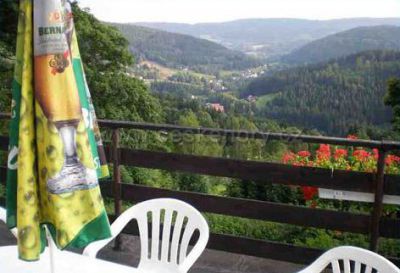 Pension Alpin