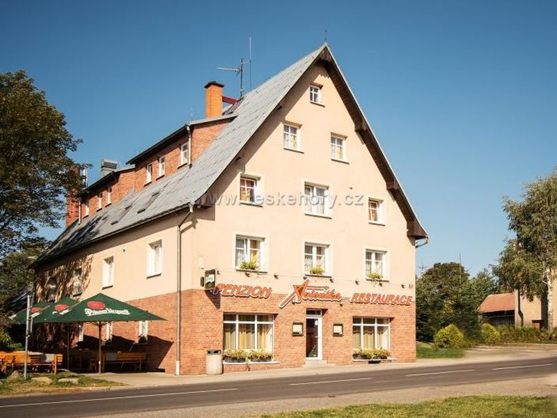 Pension Avionika