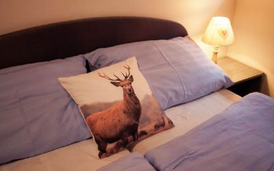 Pension Pod Ždánovem