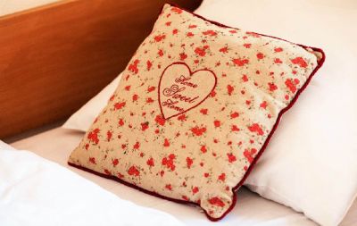 Pension Pod Ždánovem