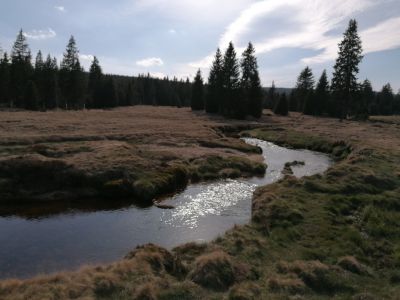 Berghütte Pešákovna