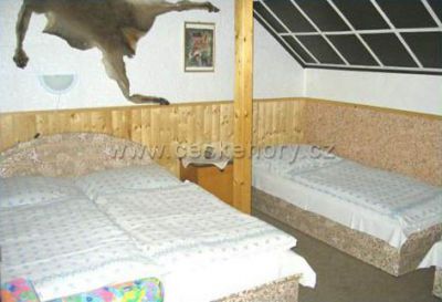 Appartements und Villa Plischke