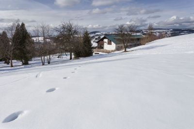 Berghütte - Pension Pohlednička