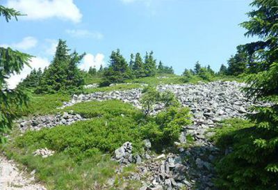 Holzhütte mit Schwimmbad und Sauna