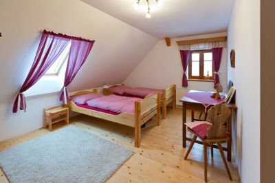 Holzhütte Vyskeř