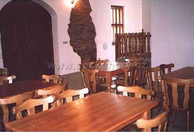 Pension Borovnice - Fischergaststätte