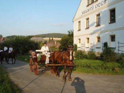 Pension Selský dvůr - Agrotouristik