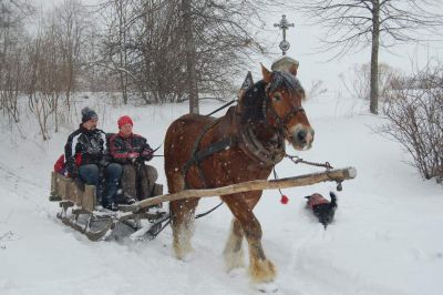 Pension Selský dvůr - Agrotouristik