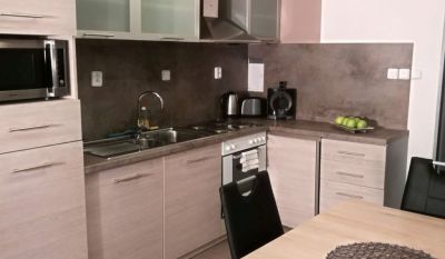 Pension Appartement SunGarden Liberec