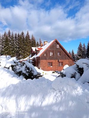 Appartement V podkroví