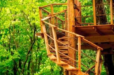 Treehouse unter Ještěd