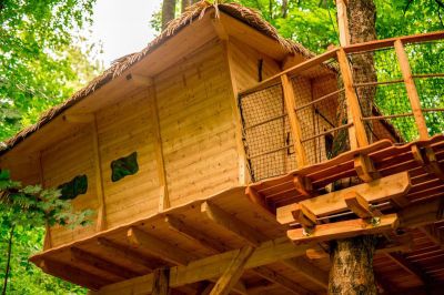 Treehouse unter Ještěd