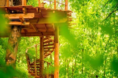 Treehouse unter Ještěd