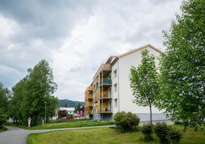 Appartements Tina und Zdenka - Stožec