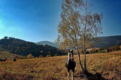 Hütte Nová Seninka