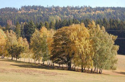 Hütte Nová Seninka