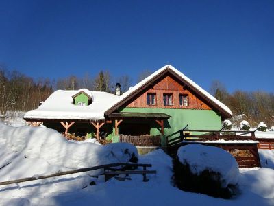 Hütte mit finnische Sauna und Bierstube