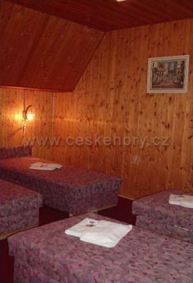 Hütte U krále Šumavy ***