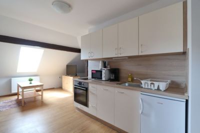 Apartmenthaus U Nešlehů