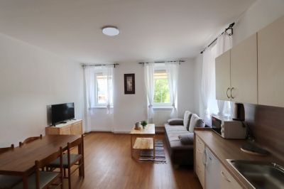 Apartmenthaus U Nešlehů