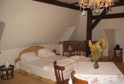 Restaurant und Penzion U Salvatora ****