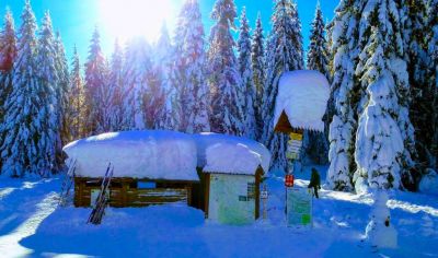 Hütte am Skizentrum Studenov