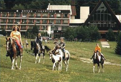 Parkhotel Všemina