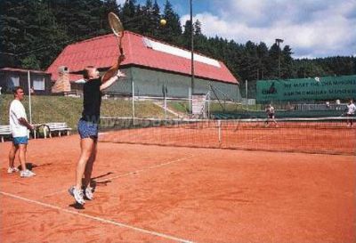 Parkhotel Všemina