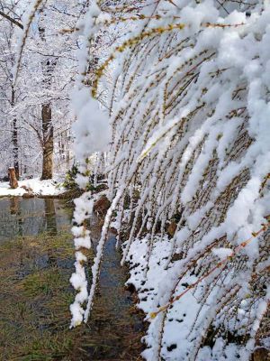 Familiengehöft Wild Cherry