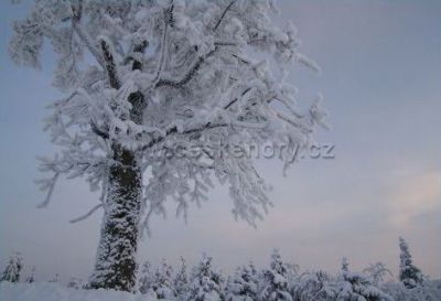 Skizentrum Červenohorské sedlo