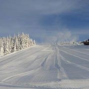 Skizentrum Harrachov