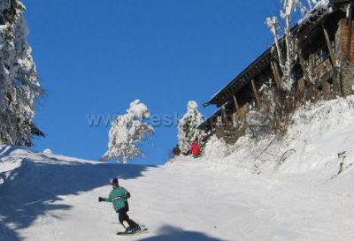 Skiareal Hohenbogen