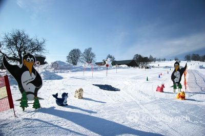 Skizentrum Vrchlabí Kněžický vrch