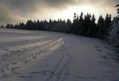 Langlaufareal Polevsko