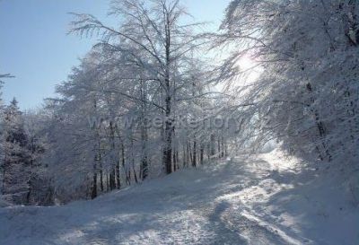 Ski Příčná - Zlaté Hory