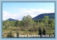 Borová Lada - Torfmoor Chalupská