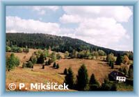 Jelení vrchy im Nationalpark Böhmerwald