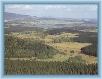 Anblick auf Lipno und Horní Planá aus österreichischem Moldanblick