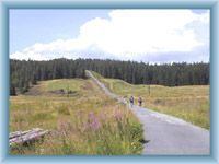 Weg aus Modrava zum Torfmoor Tříjezerní slať
