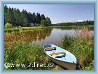 Ždírec nad Doubravou - Teich Januš